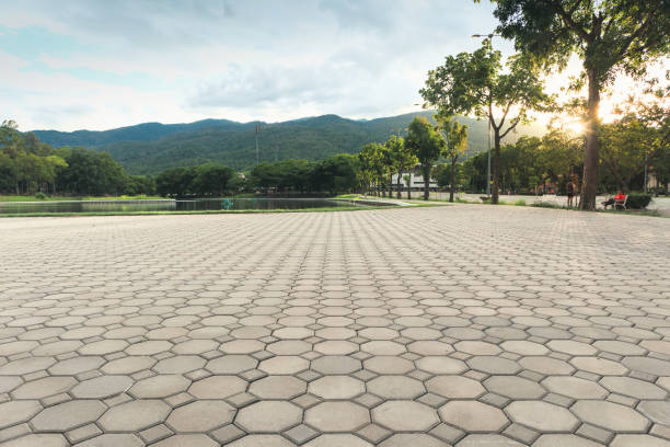 Best Concrete Paver Driveway  in Citrus Hills, FL